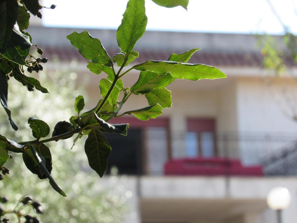 Casa Il Giovane Alloro Μαρτίνα Φράνκα Εξωτερικό φωτογραφία